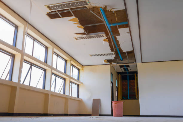 Best Fire Damage Restoration  in Tyhee, ID