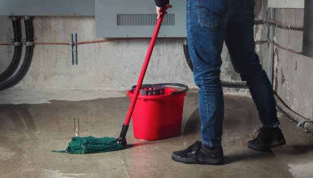 Best Emergency water damage restoration  in Tyhee, ID