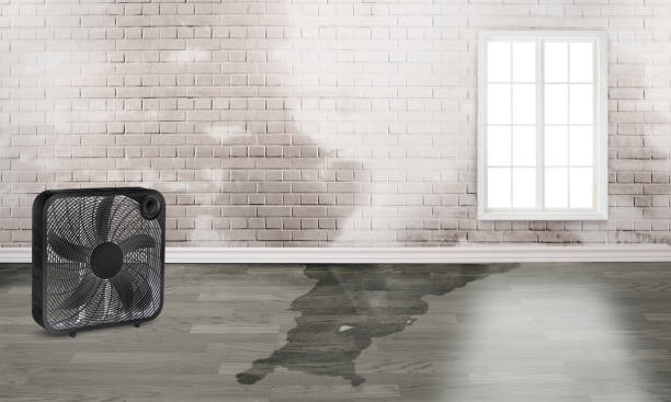 Best Residential water damage restoration  in Tyhee, ID