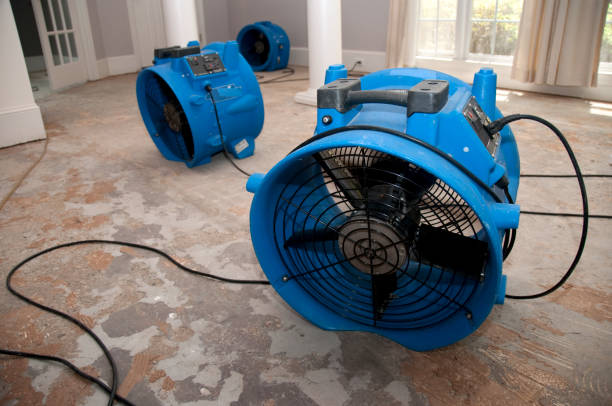 Tyhee, ID Water damage restoration Company